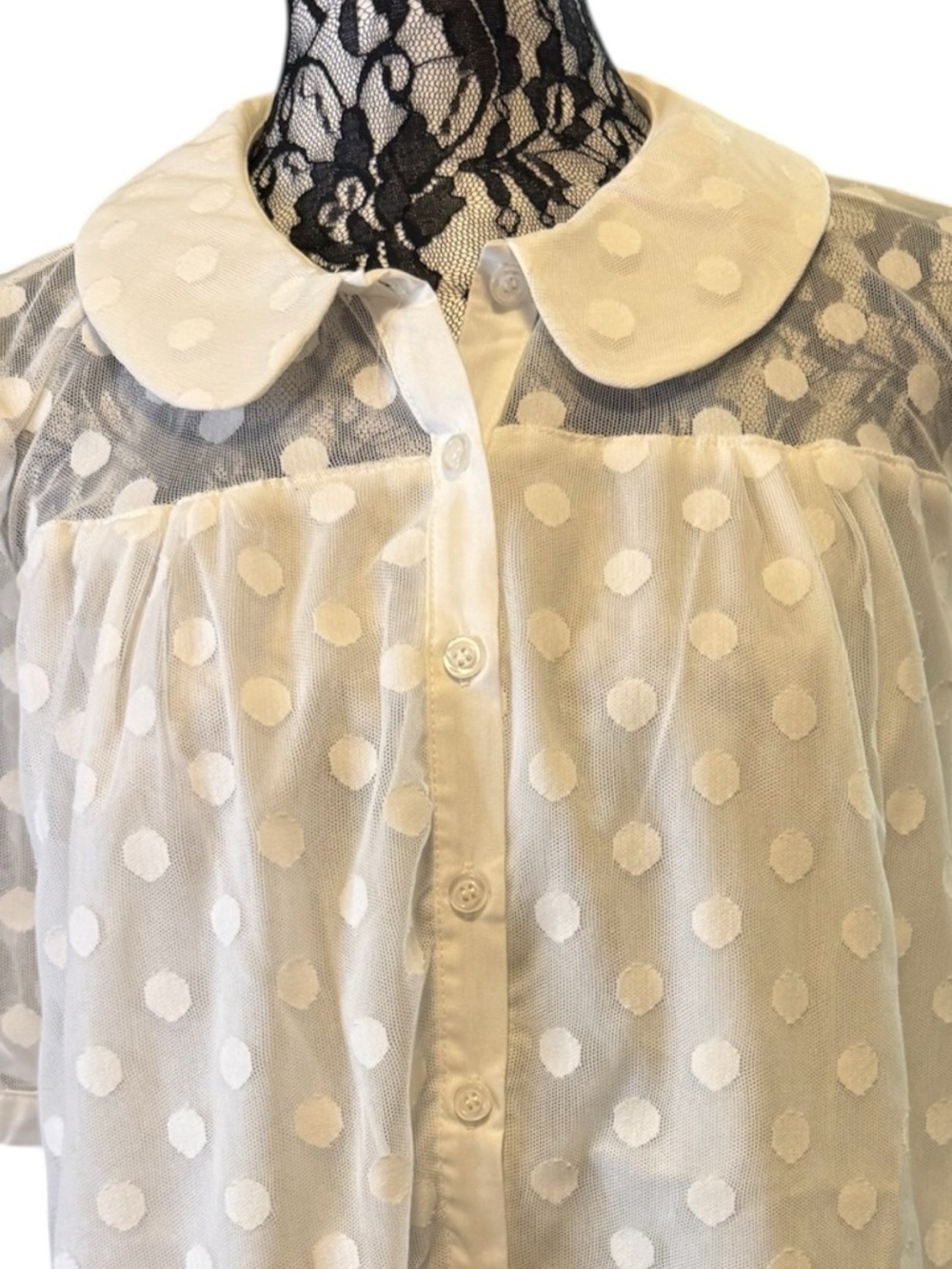 Tulip B White Polka Dot Mesh Sheer Short Sleeve Blouse with Peter Pan Collar